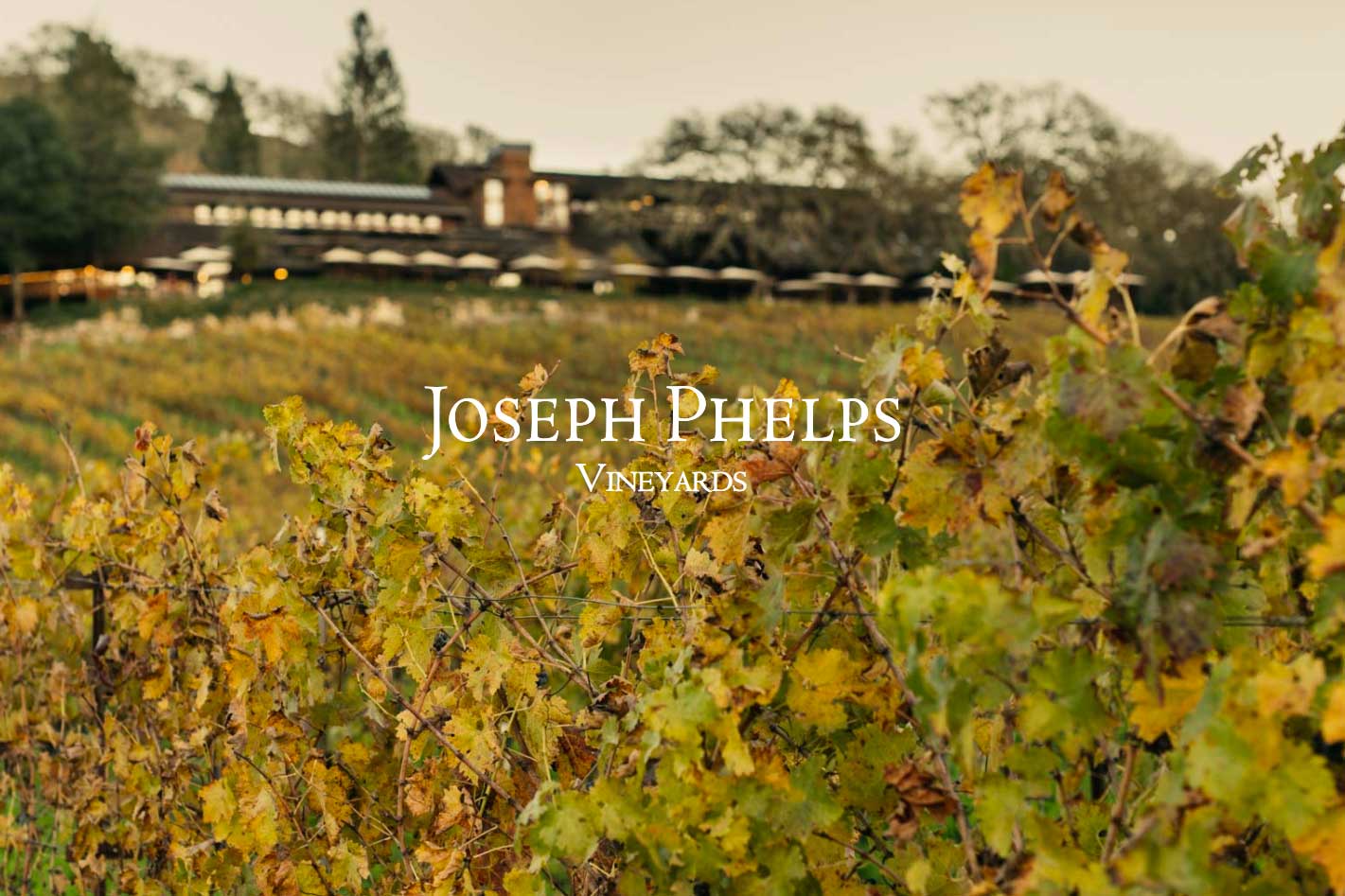 Joseph Phelps - Front End Development